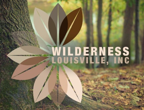 Presenting Our New Website!